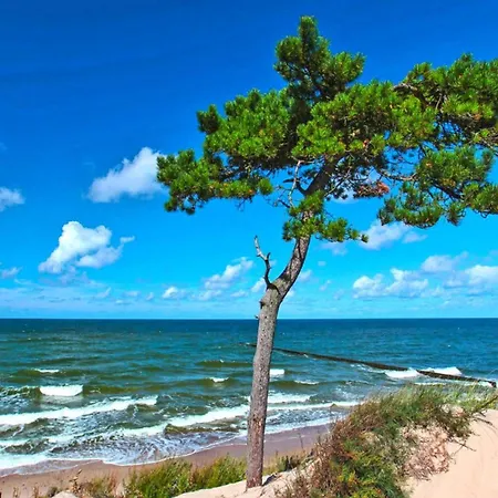 Hébergement de vacances Cottage In Wicie Near Baltic Beach, Cleaning Included Wicie (West Pomeranian)